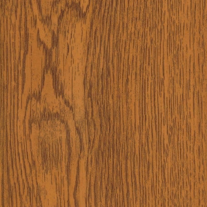 Fotografie sal-51-zlaty-dub_1_original.jpg