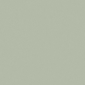 Fotografie ap-71-achatova_original.jpg