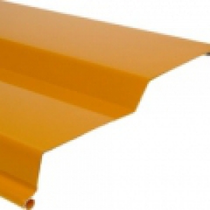 Fotografie ral-1007_original.jpg