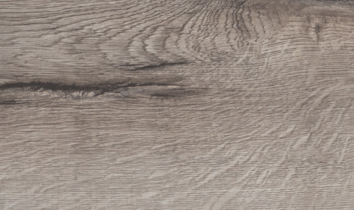 Fotografie dtd3163-dub-kourovy_original.jpg